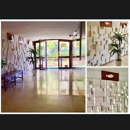 Piscis En Benidorm, 1 Min Playa Levante, Wi-fi, Ac Y Parking * Benidorm